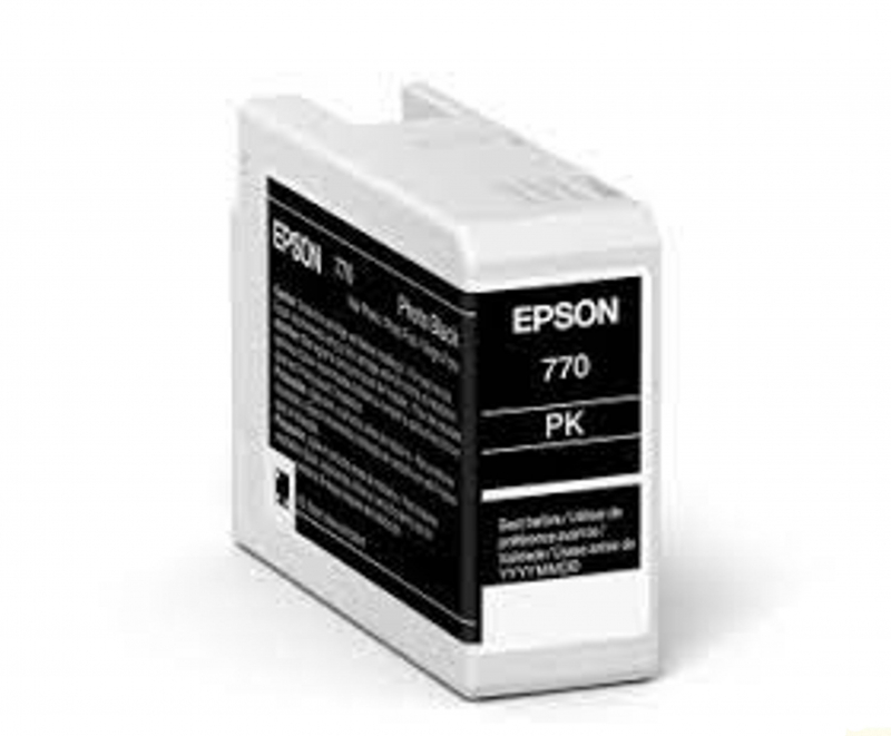 Epson C13T46S100 (C13T46S100) photo black original